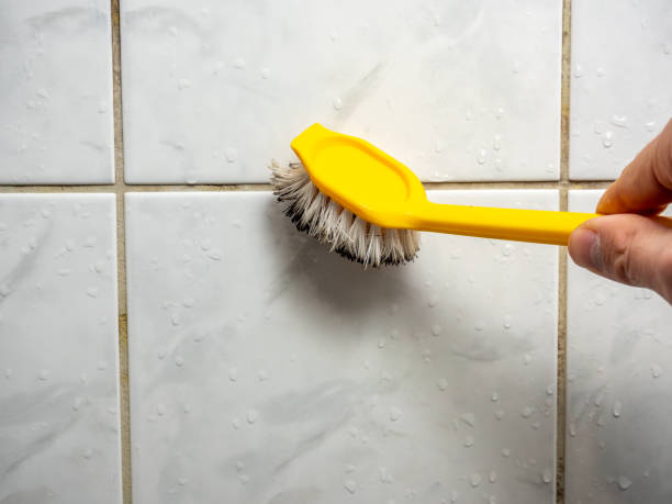 Best Mold Remediation for Specific Building Types in Spearman, TX