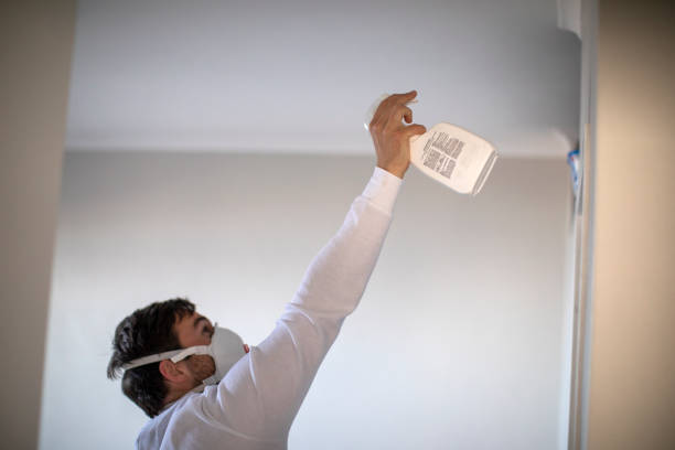 Professional Mold Remediation in Spearman, TX